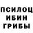 Псилоцибиновые грибы Cubensis Miha Mms