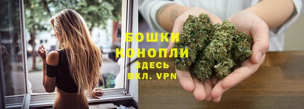 метадон Каменногорск