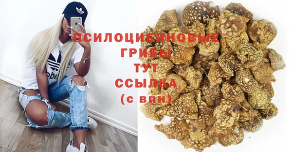 хмурый Карталы